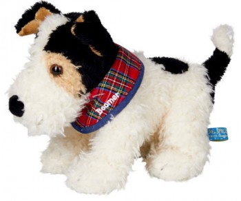 Foxterrier Boomer