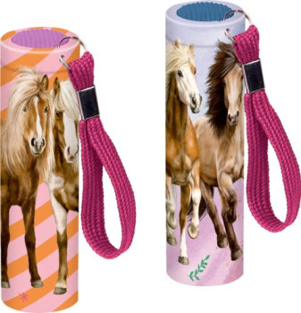 Kleine Taschenlampe sort.    -Pferdefreunde-